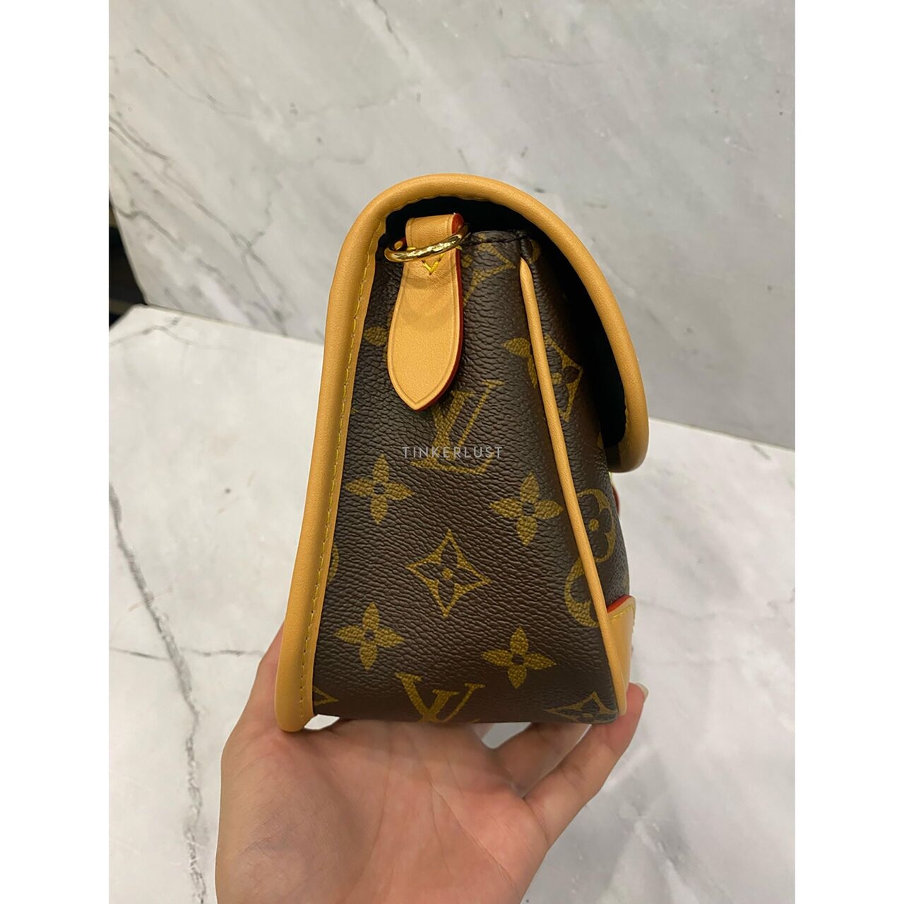Louis Vuitton Diane Monogram Shoulder Bag