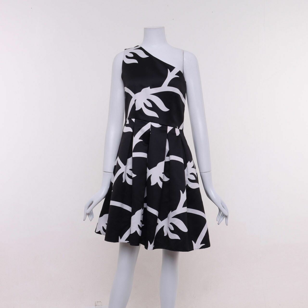 Women Polyester Print Dress