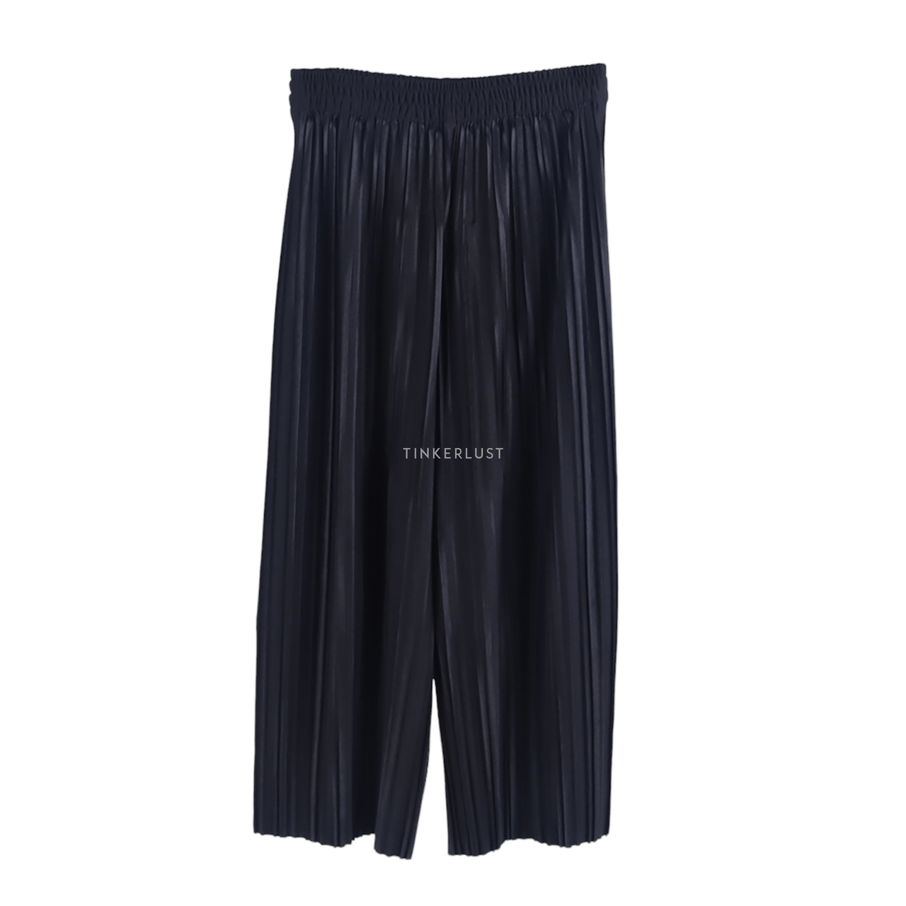 Beatrice Clothing Black Pleated Long Pants