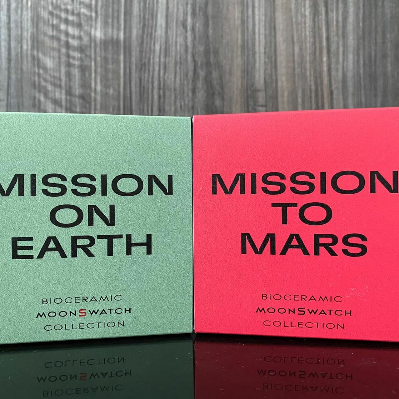 Moonswatch mission on earth