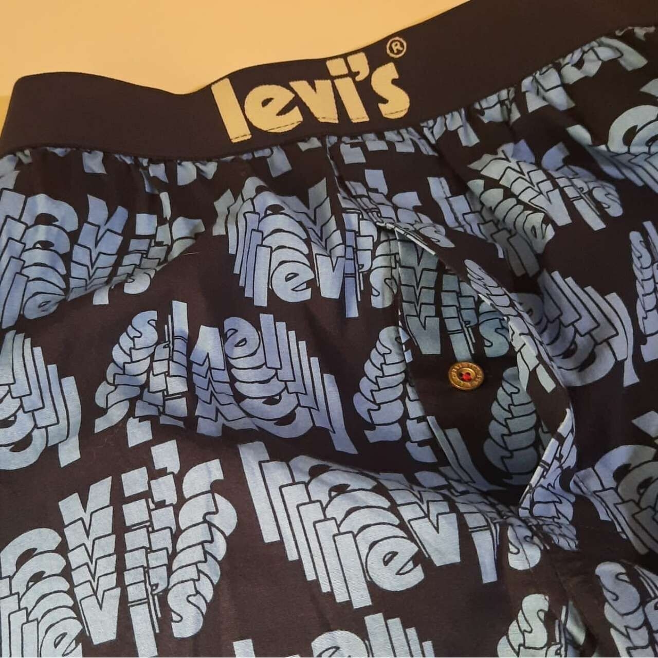 Levi's Blue & Navy Short Pants