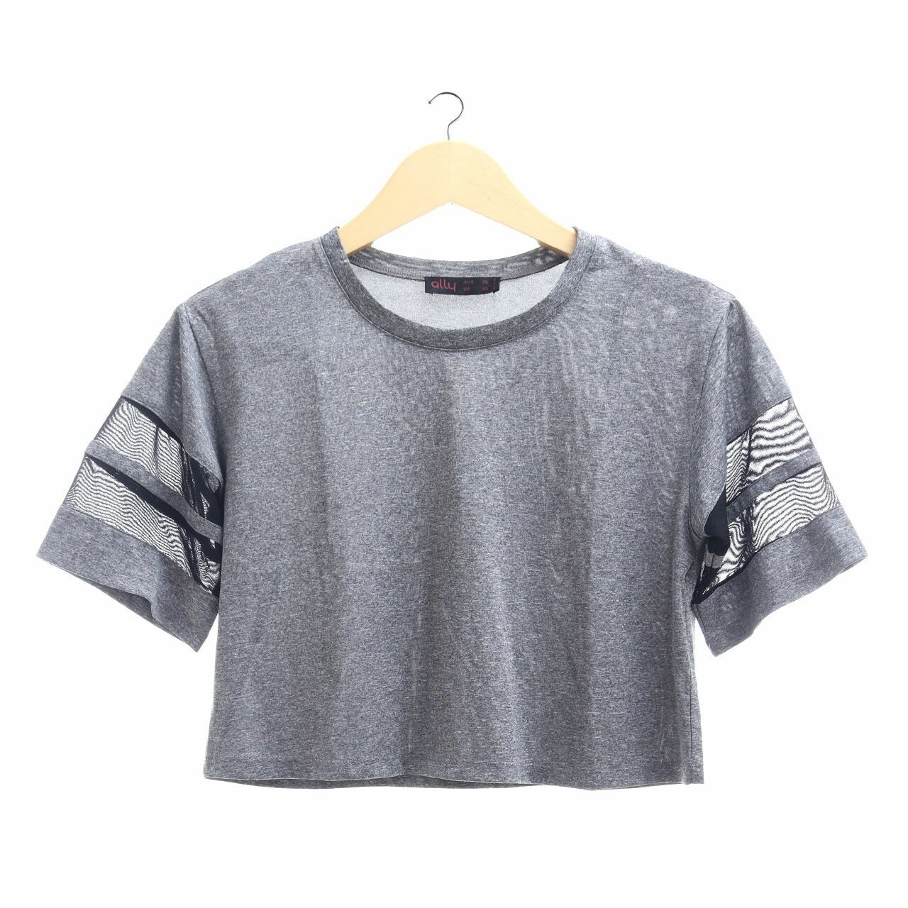 Ally Grey Crop T-Shirt