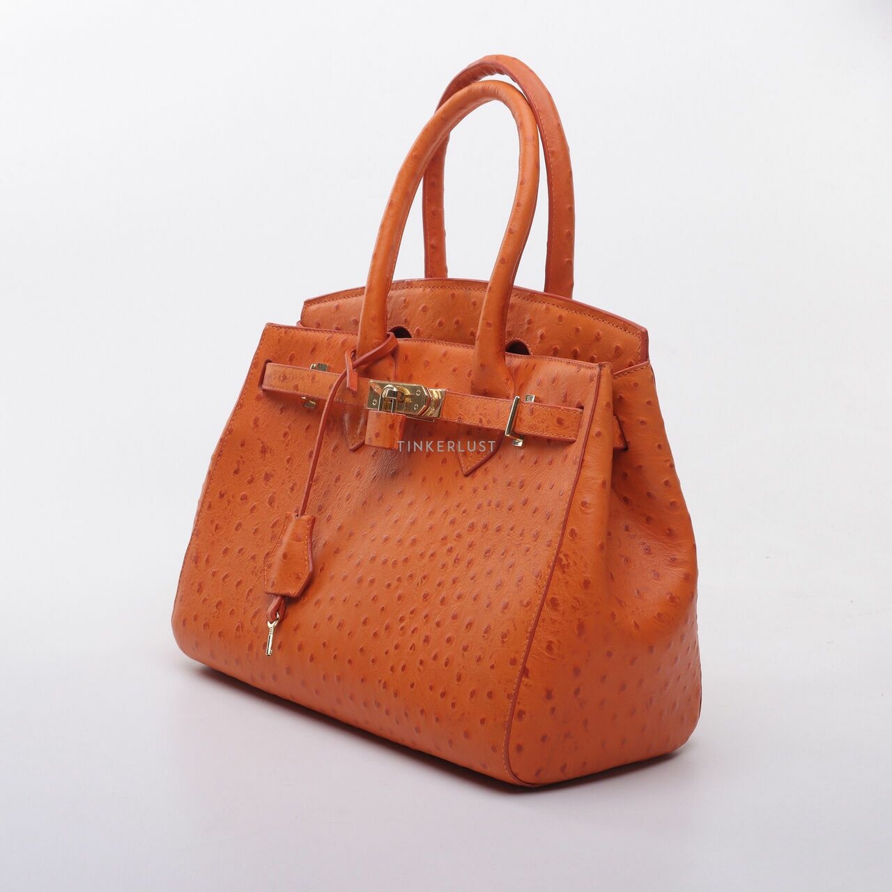 Gobelini Orange Birkin Handbag
