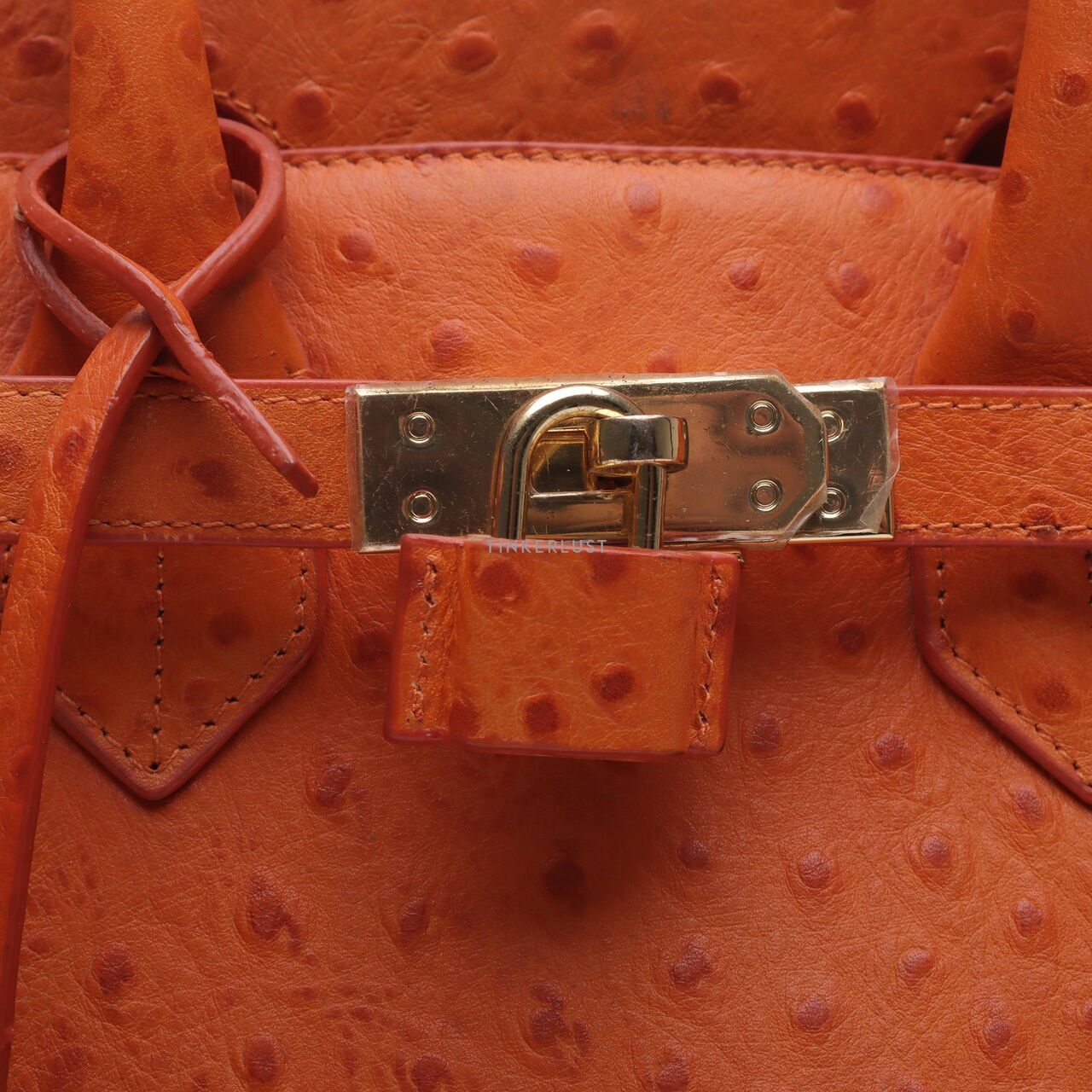 Gobelini Orange Birkin Handbag