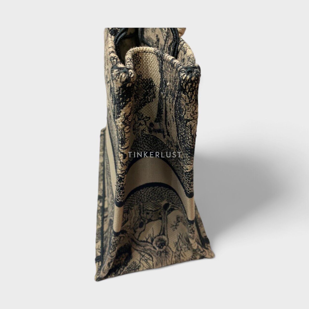Christian Dior Book Tote Medium Embroidered Canvas Tote Bag