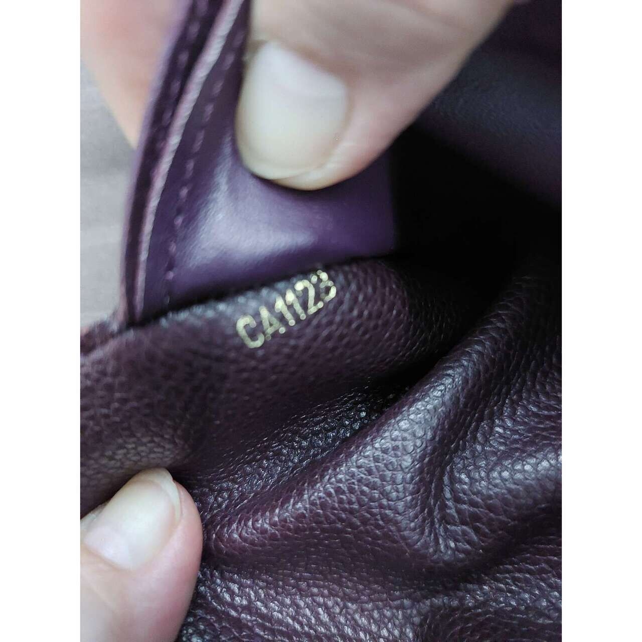 Louis Vuitton Purple Clutch