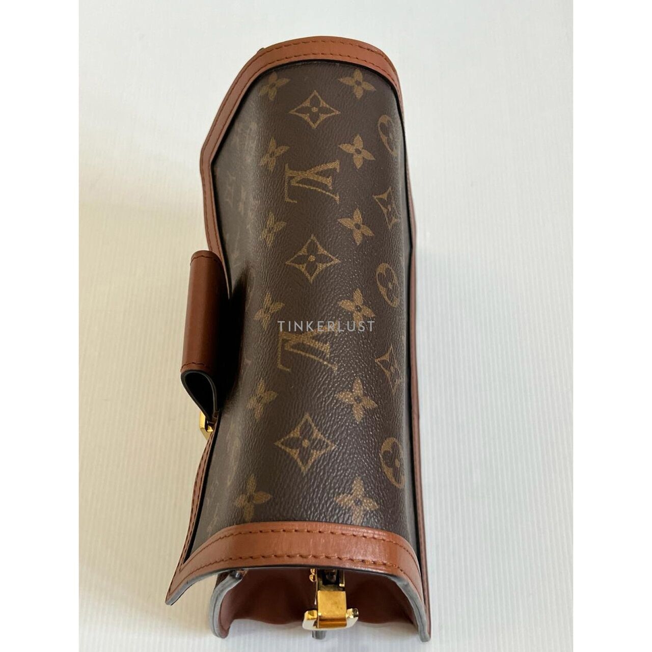 Louis Vuitton Dauphine MM Reverse 2019 Shoulder Bag