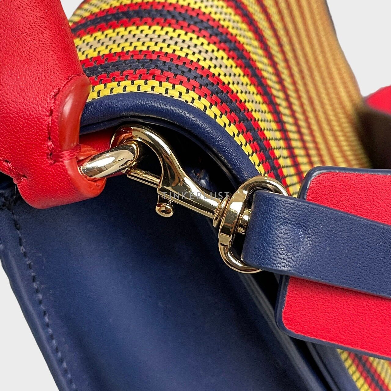 Diane Von Furstenberg Bonne Soiree Multicolor Raffia Handbag