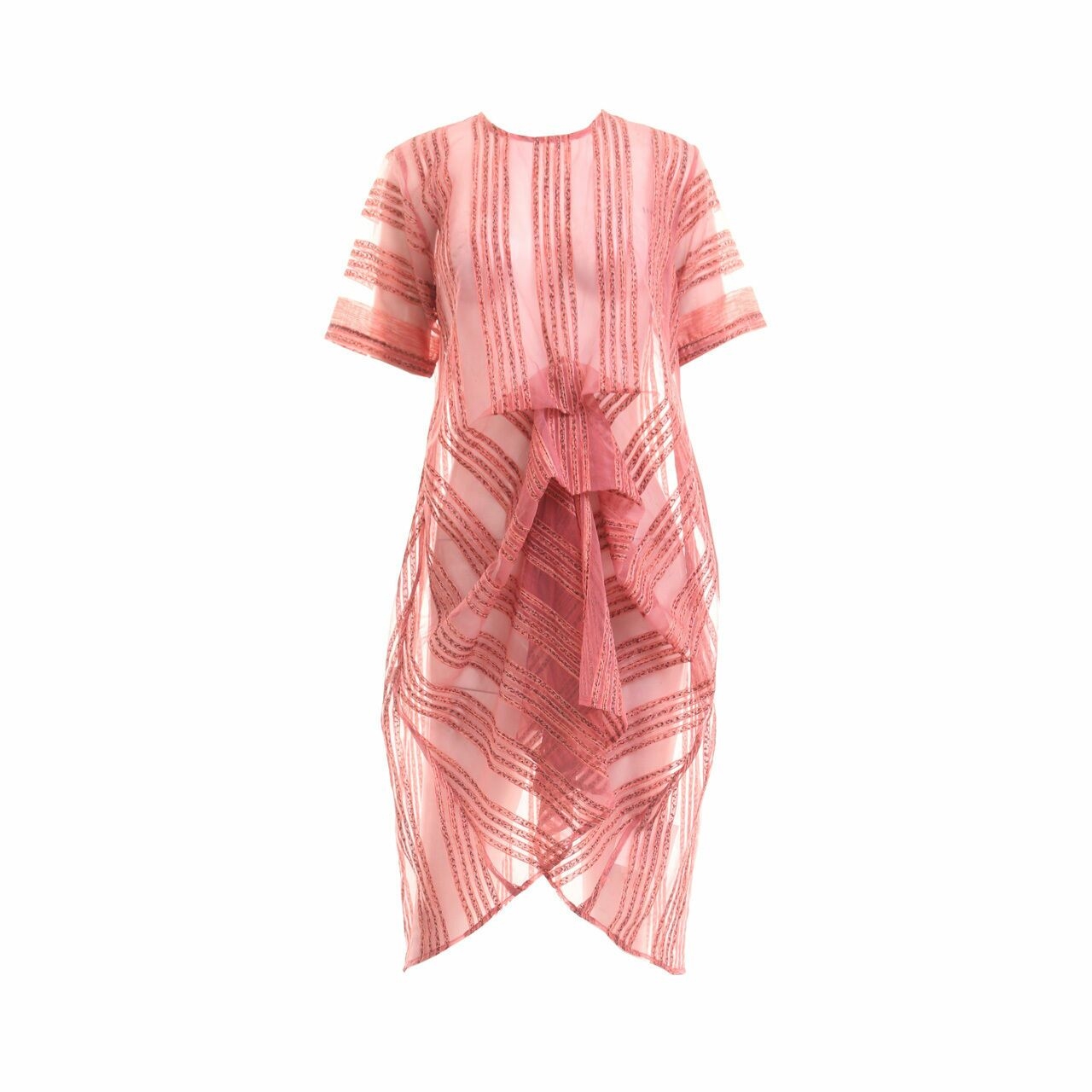 MYVB Pink Sheer Mini Dress