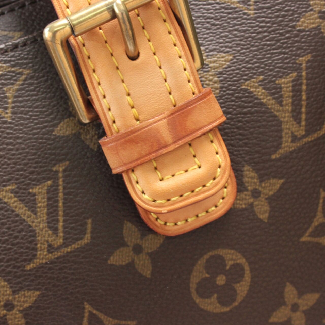 Louis Vuitton Multiple Cite Monogram