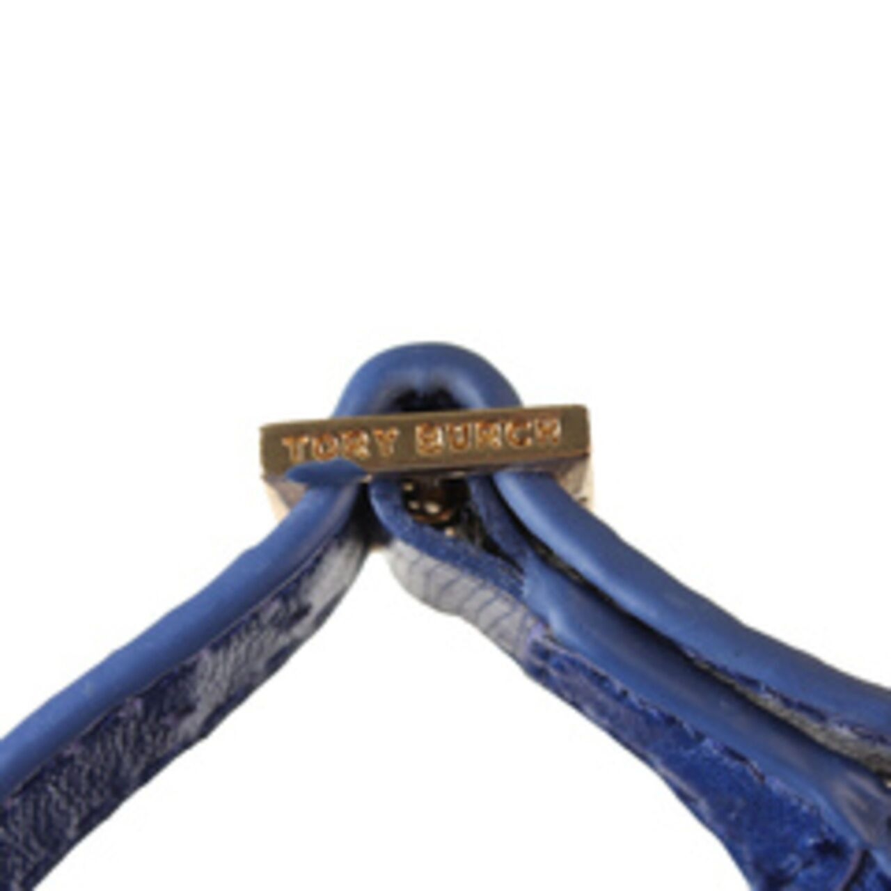 Tory Burch Robinson Demi Sandal Blue Wedges