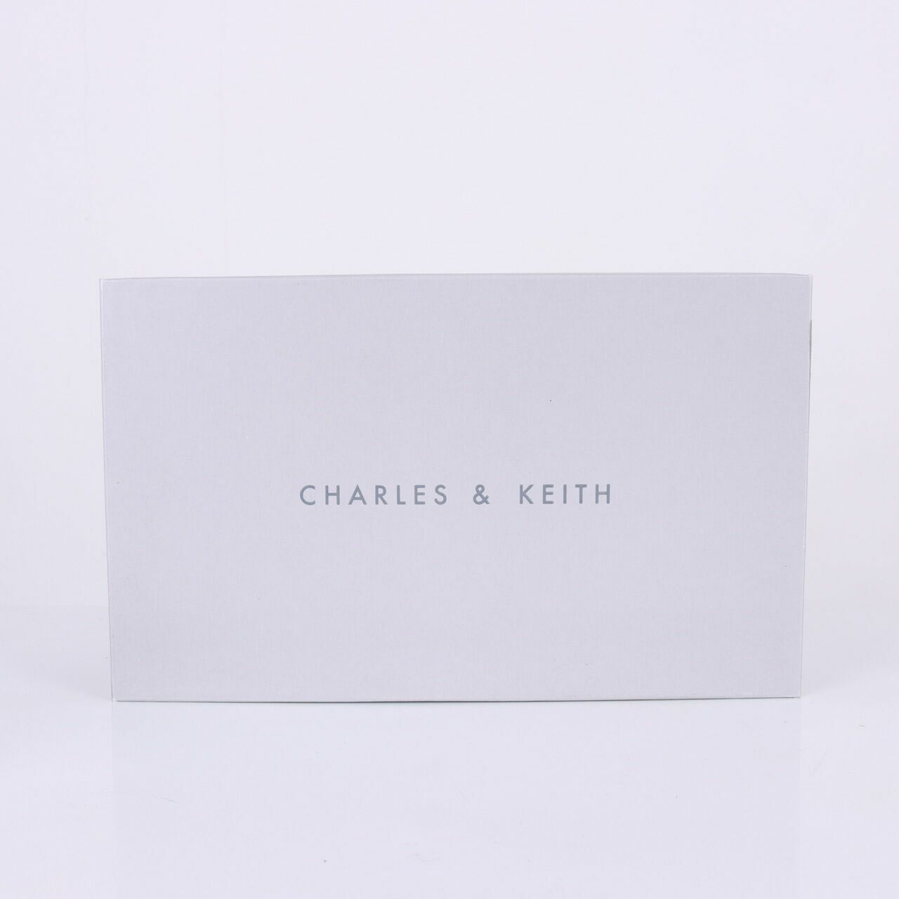 Charles & Keith Brown Mules Sandals