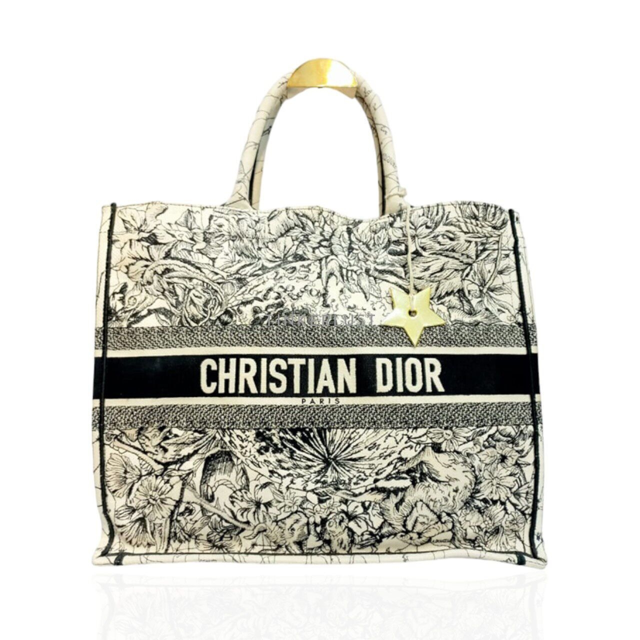 Christian Dior Book Tote Large White 2021 Tote Bag
