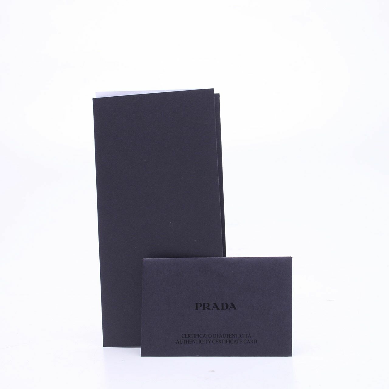 Prada Nude Metal Leather Wallet Cameo Chain  Clutch