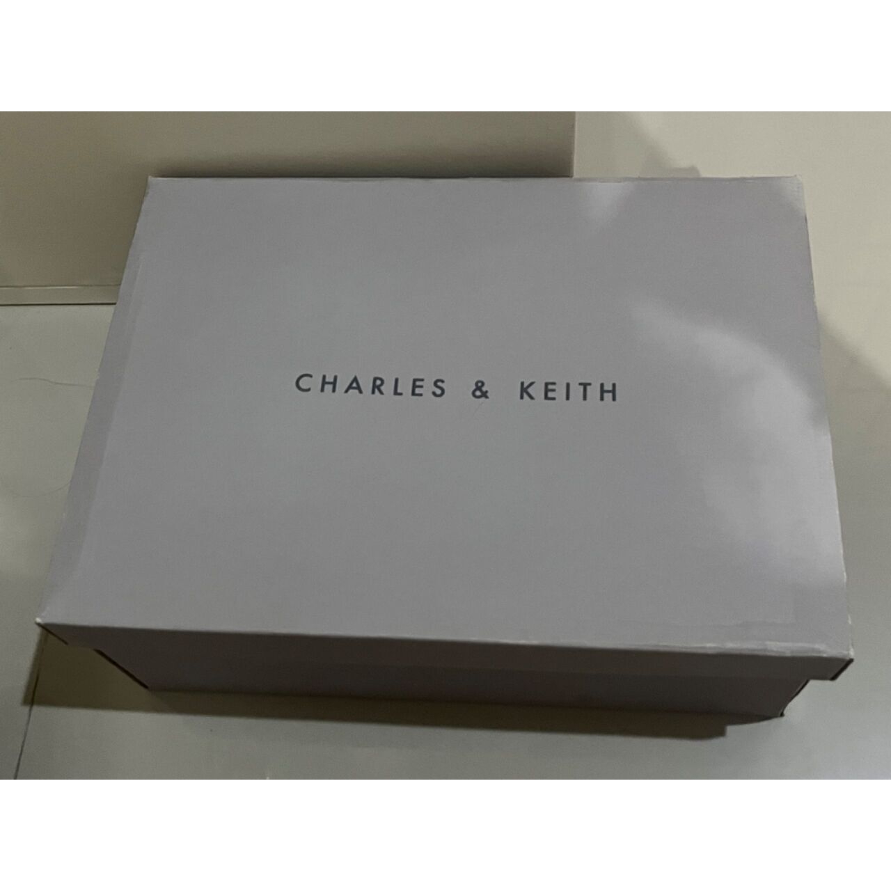Charles & Keith Purple Sandals