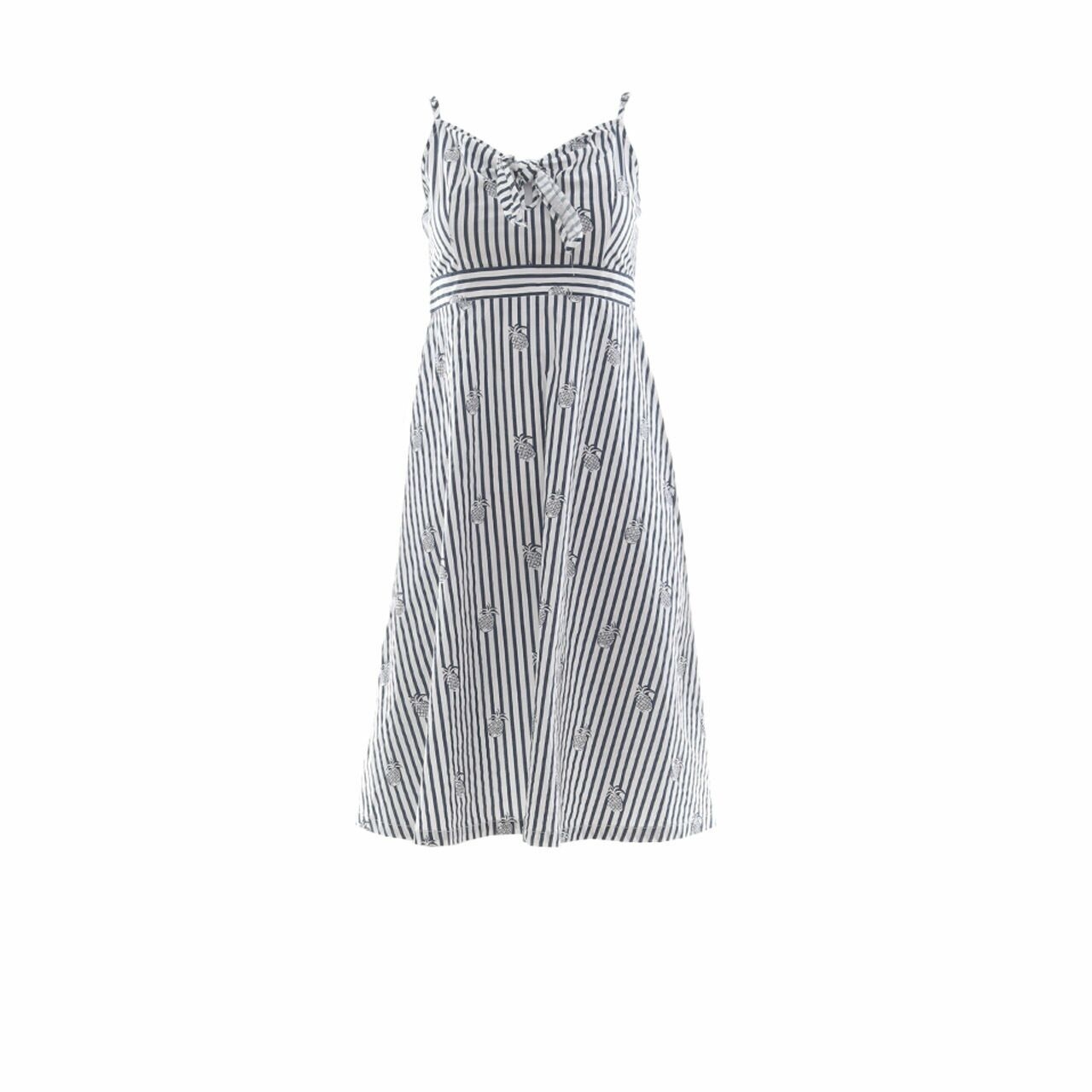 Mango Navy/White Pineapple Striped Mini Dress