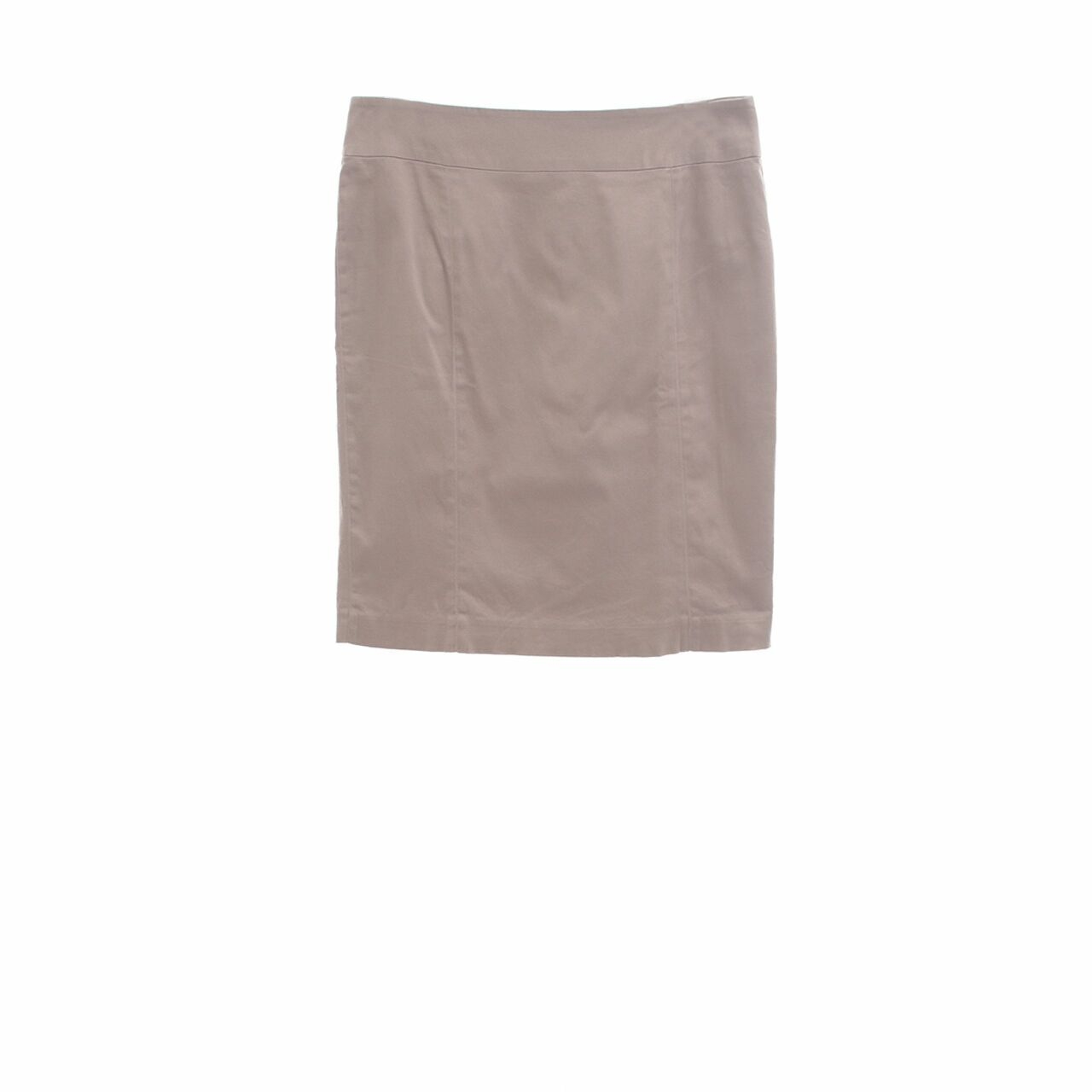 Accent Brown Mini Skirt