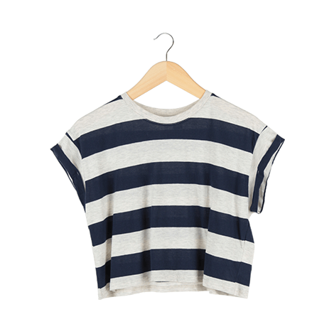 Blue and Grey Striped Cropped T-Shirt