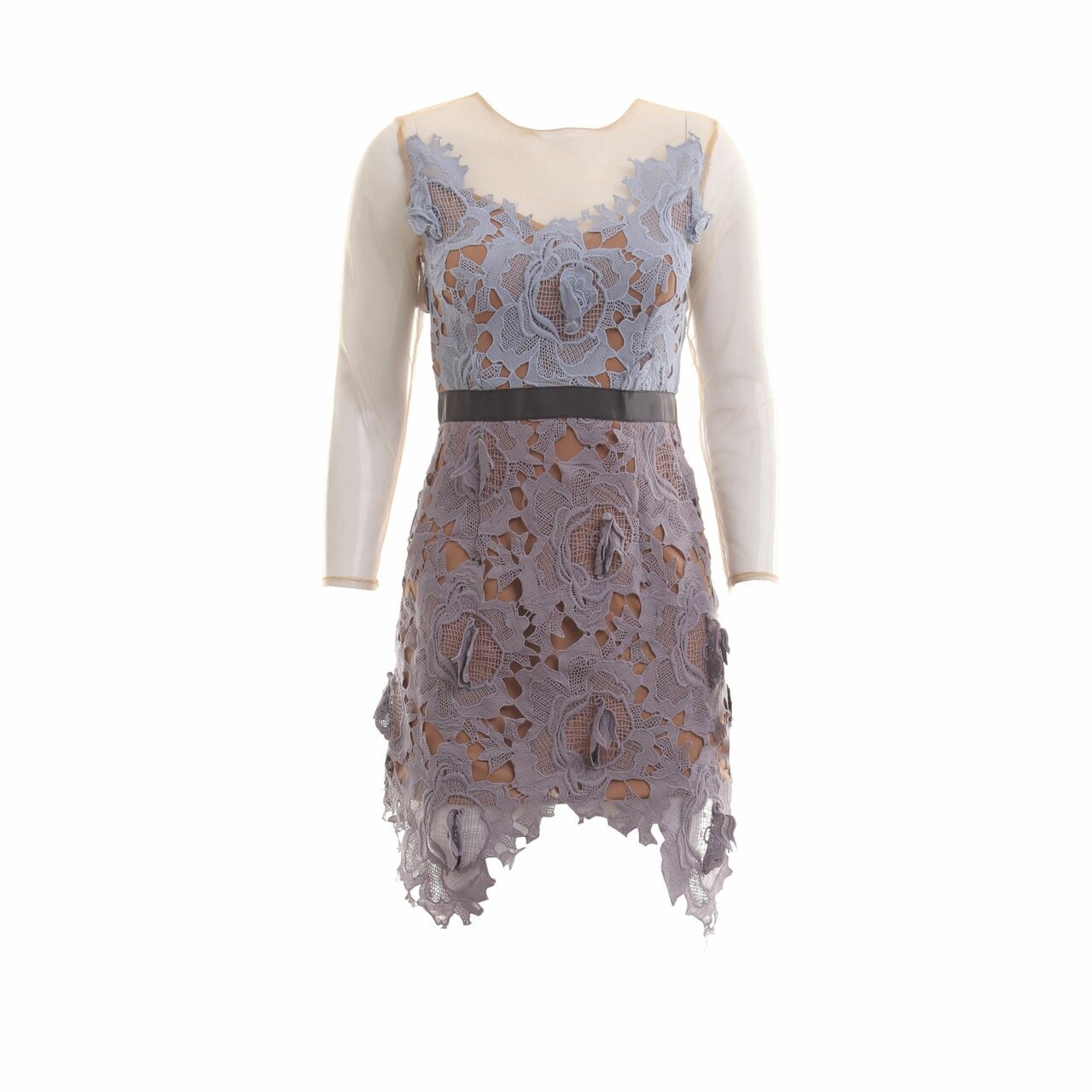 Roselani Multi Lace Sheer Mini Dress