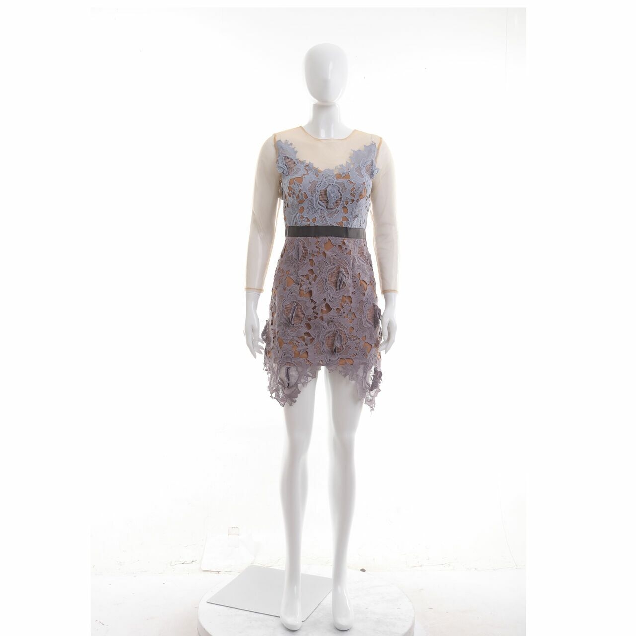 Roselani Multi Lace Sheer Mini Dress