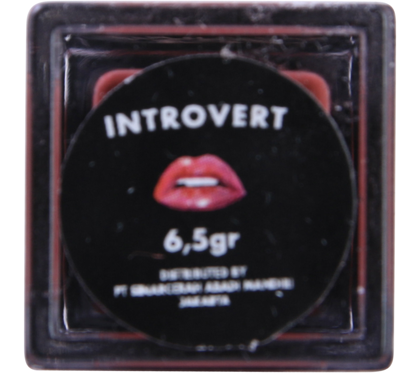 MAD For Lipstick Introvert Lips