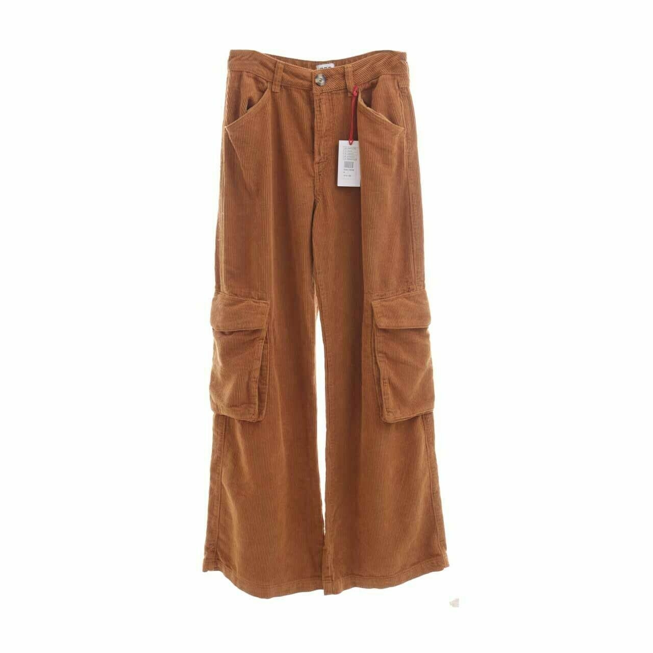 BDG Brown Long Pants