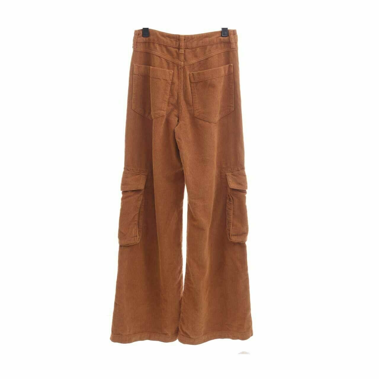 BDG Brown Long Pants