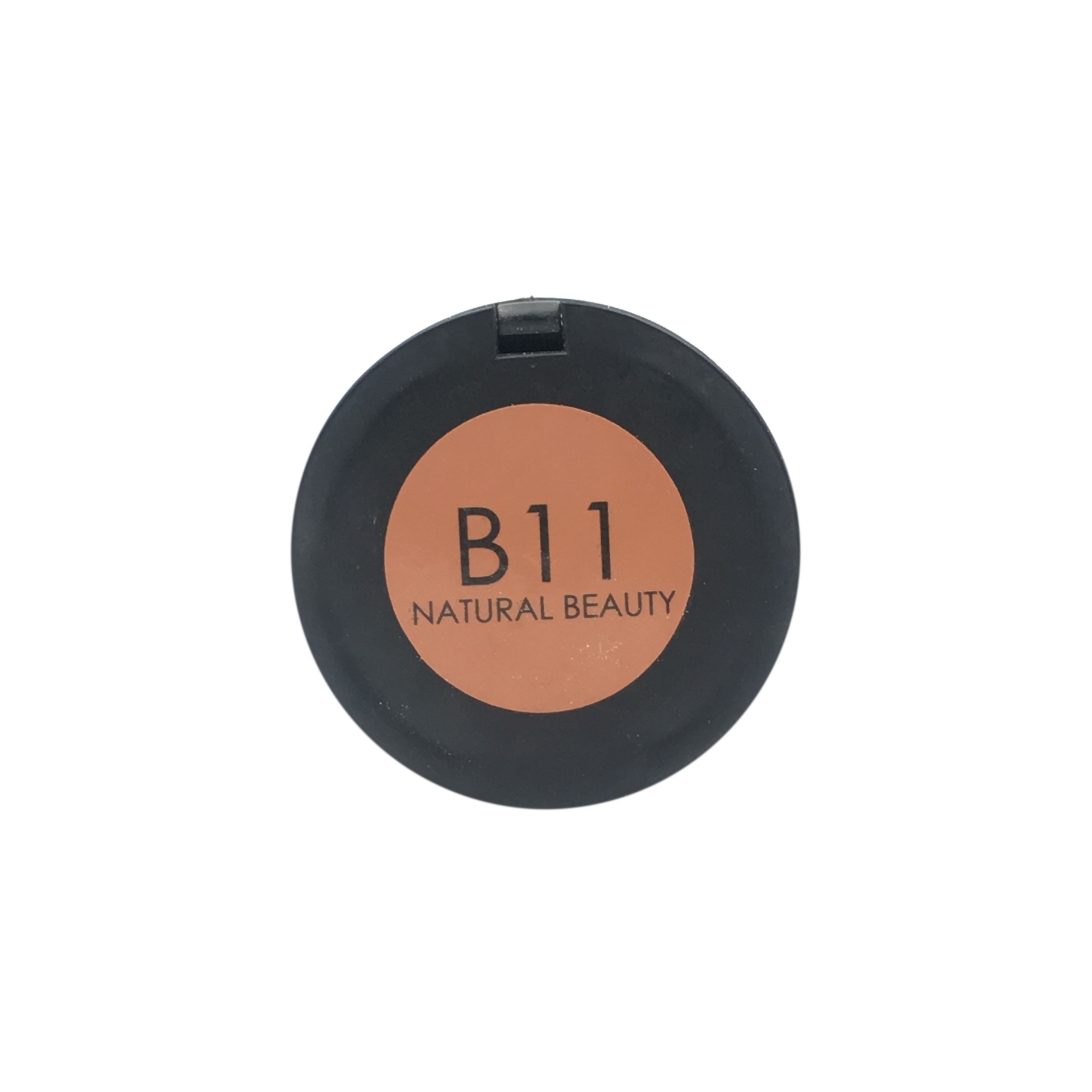 Focallure B11 Natural Beauty Blush On Faces