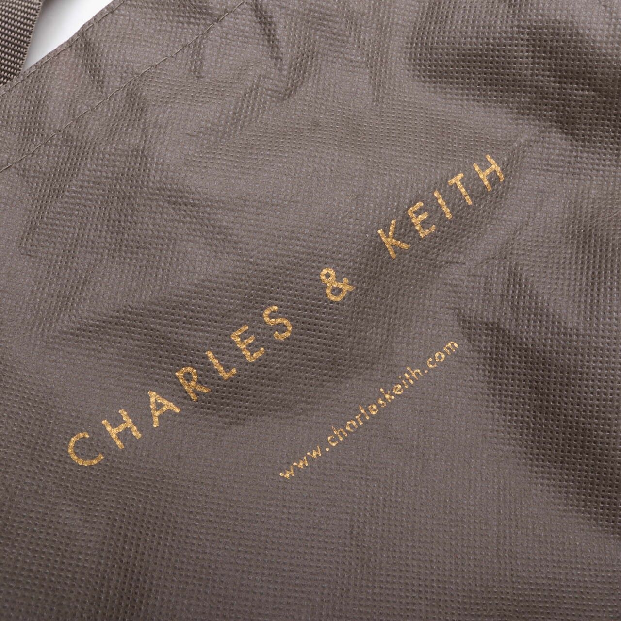 Charles & Keith Grey Sling Bag